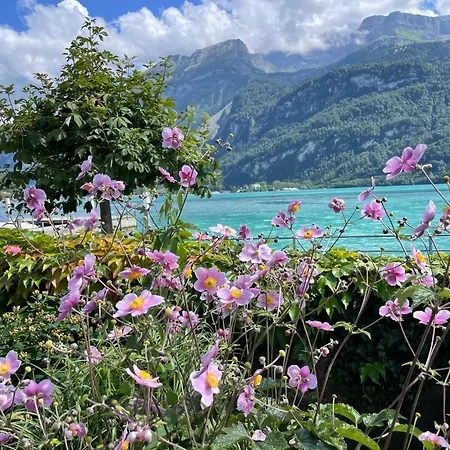 Romantica Carpe Diem View Location Apartman Brienz