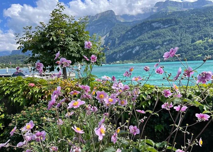 Romantica Carpe Diem View Location Appartamento Brienz (Bern)